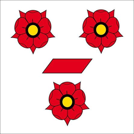 Neyruz FR flag
